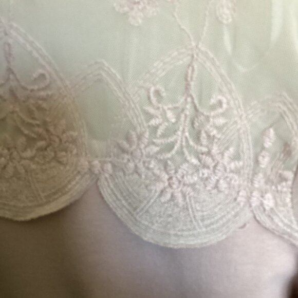 H&M NWOT Dressy Tee Sheer Scalloped Chiffon Yoke and Sleeves Size Large in Taupe - Picture 3 of 5